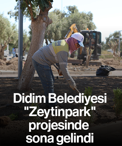 Didim Belediyesi "Zeytinpark" projesinde sona gelindi