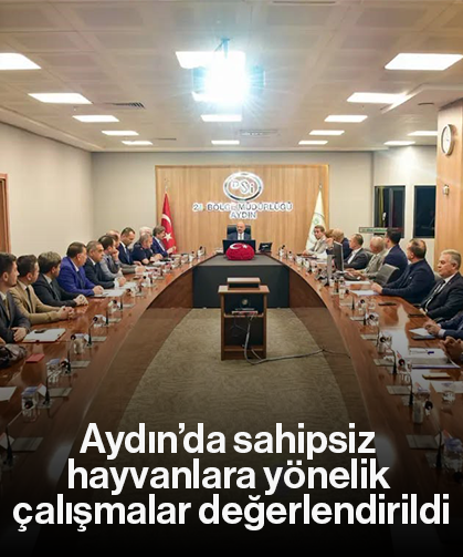 Aydın’da sahipsiz hayvanlara yönelik çalışmalar değerlendirildi