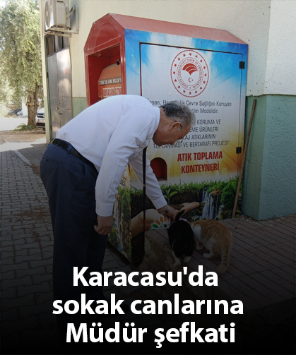 Karacasu'da sokak canlarına Müdür şefkati