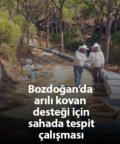 Bozdoğan’da arılı kovan desteği için sahada tespit çalışması