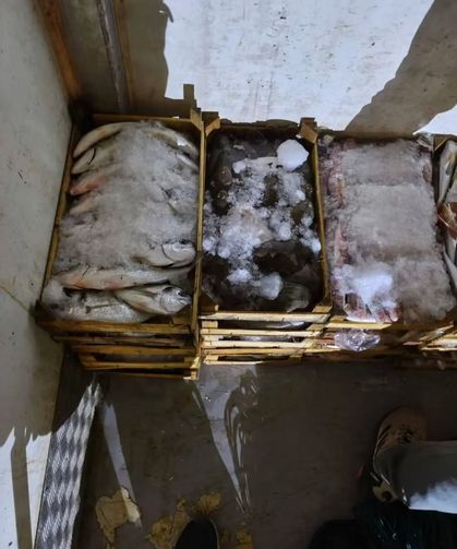 Didim'de Su ürünleri nakil vasıtalarına sıkı denetim