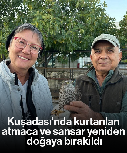 Kuşadası’nda kurtarılan atmaca ve sansar yeniden doğaya bırakıldı