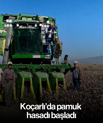 Koçarlı’da pamuk hasadı başladı