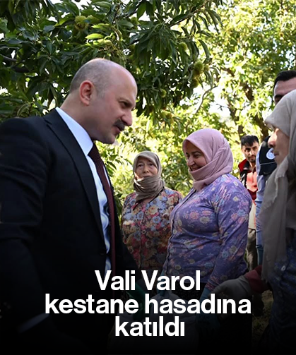 Vali Varol, kestane hasadına katıldı