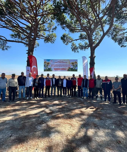 Koçarlı’da ayçiçeği hasadı başladı
