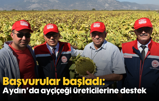 Başvurular başladı: Aydın’da ayçiçeği üreticilerine destek
