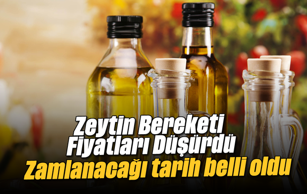 Zeytin Bereketi Fiyatları Düşürdü: Zamlanacağı Tarih Belli Oldu