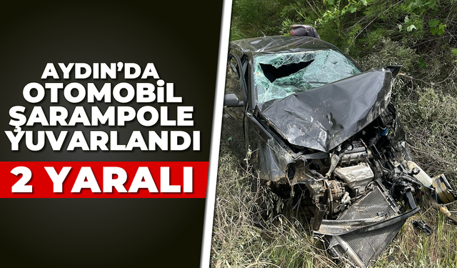 Aydın'da otomobil şarampole yuvarlandı; 2 yaralı