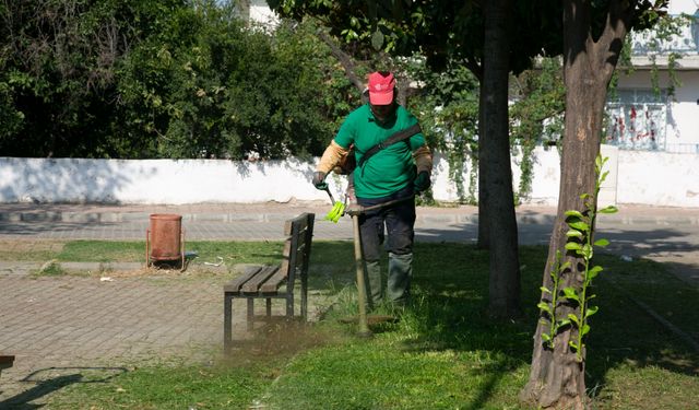 Efeler Belediyesi parkların bakımı için harekete geçti