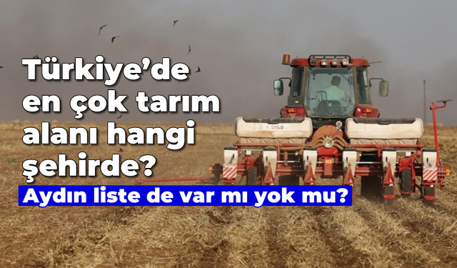 Türkiye'de en çok tarım alanı hangi şehirde? Aydın liste de var mı yok mu?
