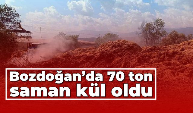Bozdoğan’da 70 ton saman kül oldu