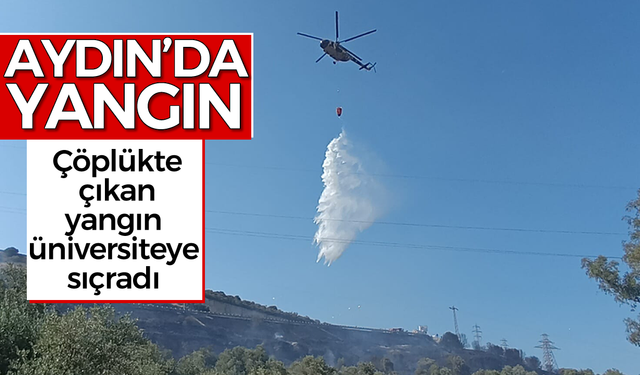 Aydın’da yangın: Çöplükte çıkan yangın üniversiteye sıçradı