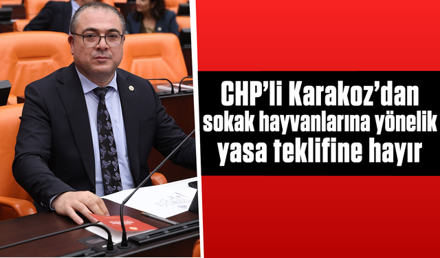 CHP’li Karakoz’dan sokak hayvanlarına yönelik yasa teklifine ‘hayır’