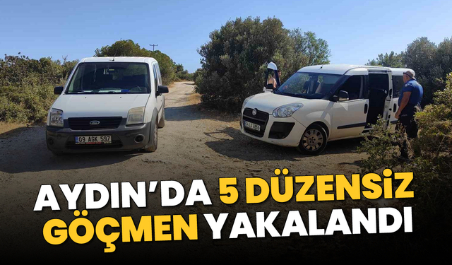 Aydın'da 5 düzensiz göçmen yakalandı
