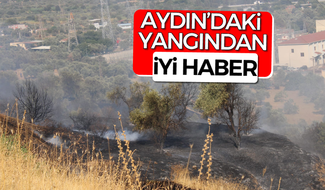 Aydın'daki yangından iyi haber