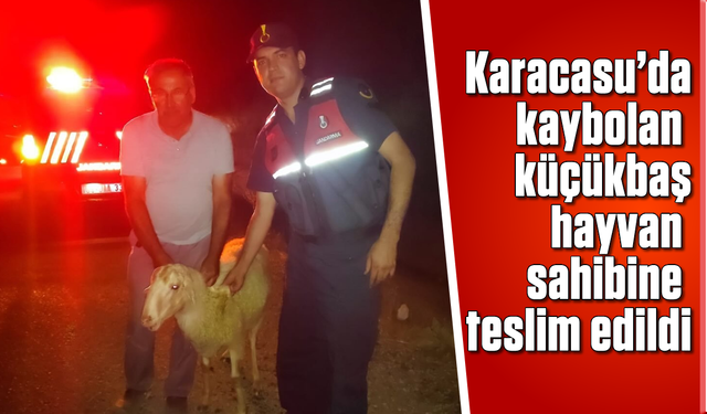 Karacasu’da kaybolan küçükbaş hayvan sahibine teslim edildi