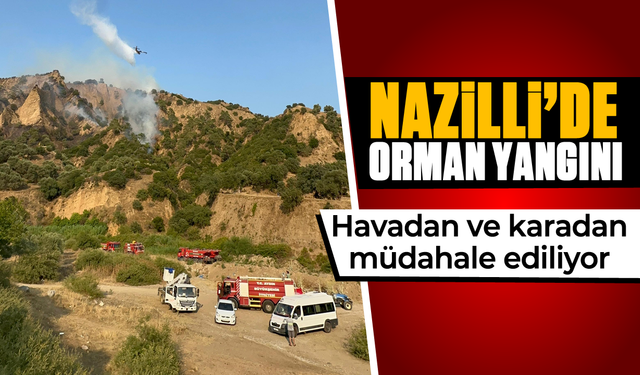 Nazilli’de orman yangını: Havadan ve karadan müdahale ediliyor