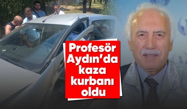 Profesör, Aydın'da kaza kurbanı oldu