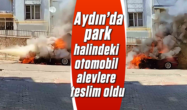 Aydın'da park halindeki otomobil alevlere teslim oldu