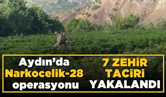 Aydın’da Narkocelik-28 operasyonu, 7 zehir taciri yakalandı