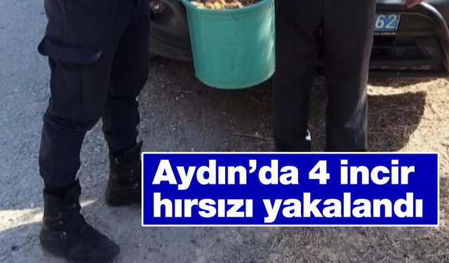 Aydın’da 4 incir hırsızı yakalandı