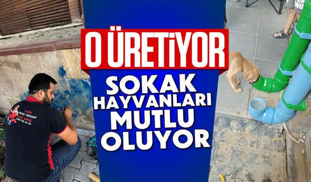 O üretiyor, sokak hayvanları mutlu oluyor