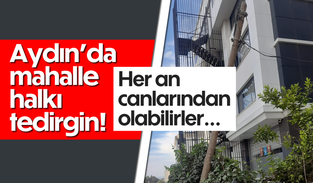 Aydın’da mahalle halkı tedirgin! Her an canlarından olabilirler...