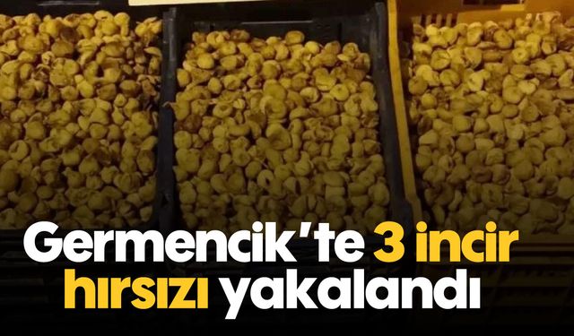 Germencik’te 3 incir hırsızı yakalandı