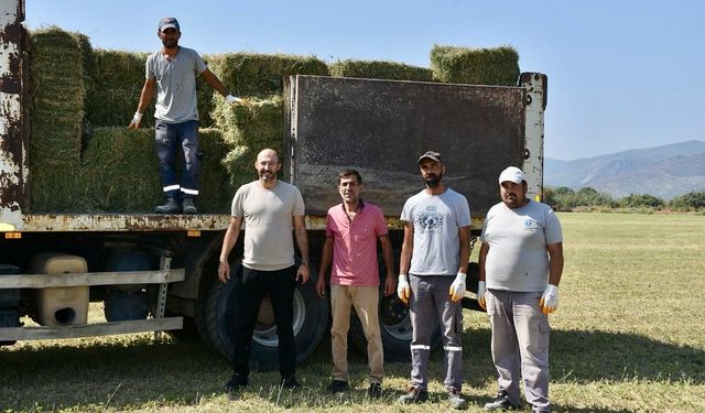 Germencik’ten Bozdoğan’a yonca desteği