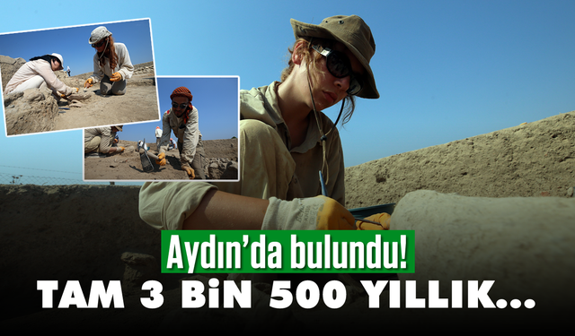 Aydın'da bulundu! Tam 3 bin 500 yıllık...