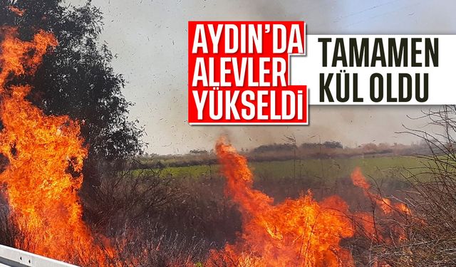 Aydın'da alevler yükseldi: Tamamen kül oldu