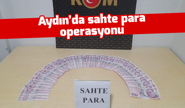 Aydın'da sahte para operasyonu