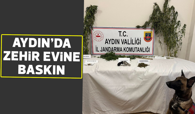 Aydın’da zehir evine baskın