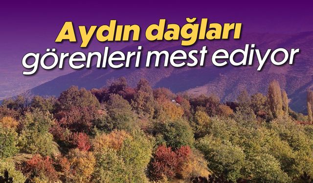 Aydın dağları görenleri mest ediyor