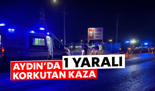 Aydın'da korkutan kaza: 1 yaralı