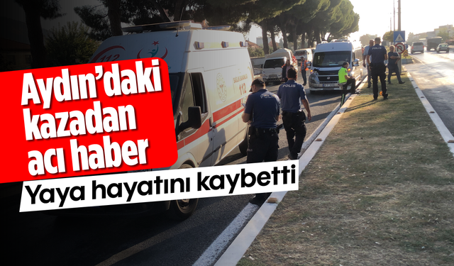 Aydın'daki kazadan acı haber: Yaya hayatını kaybetti