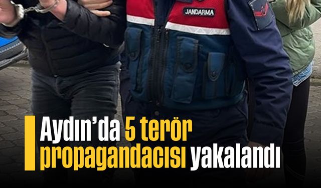 Didim, Efeler, Kuşadası ve Nazilli'de propagandacılar yakalandı