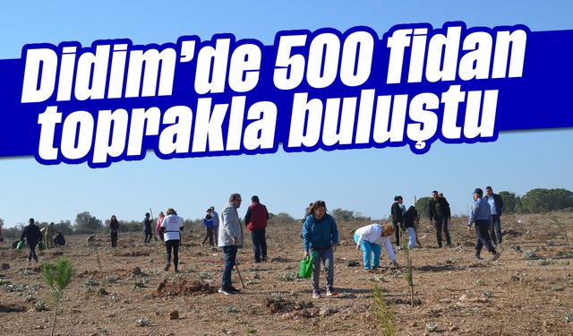 Didim'de 500 fidan toprakla buluştu