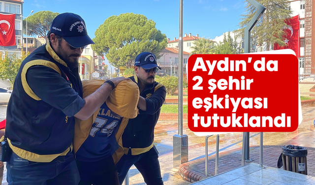 Aydın'da 2 şehir eşkiyası tutuklandı