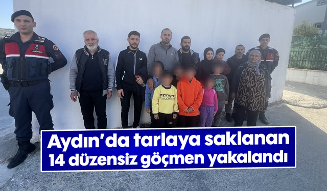 Aydın'da tarlaya saklanan 14 düzensiz göçmen yakalandı