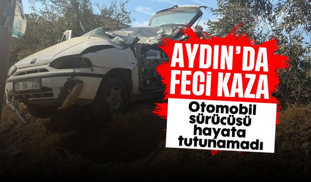 Aydın'da feci kaza: Otomobil sürücüsü hayata tutunamadı