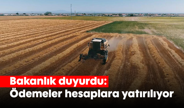 Bakanlık duyurdu: Ödemeler hesaplara yatırılıyor