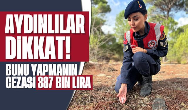 Aydınlılar dikkat: Bunu yapmanın cezası 387 bin lira...