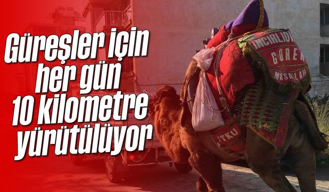 Güreşler için her gün 10 kilometre yürütülüyor