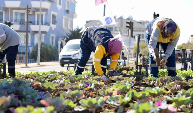 Didim’de kışlık çiçek dikimine başlandı