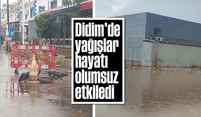 Didim'de yağışlar hayatı olumsuz etkiledi