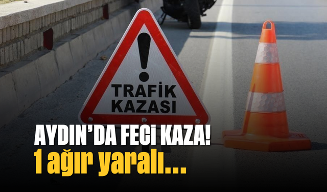 Aydın'da feci kaza; 1 ağır yaralı