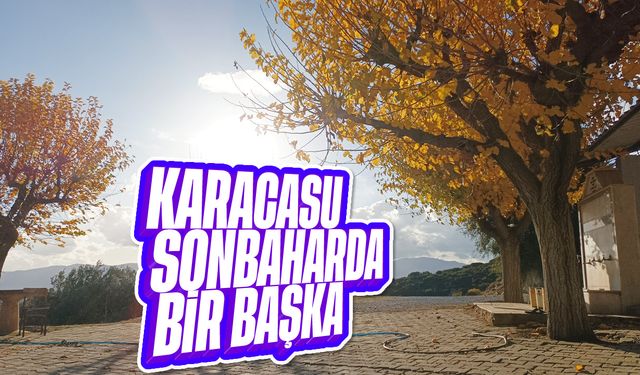 Karacasu sonbaharda bir başka