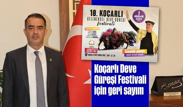 Koçarlı Deve Güreşi Festivali için geri sayım