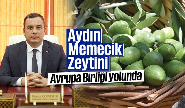 Aydın Memecik Zeytini, Avrupa Birliği yolunda